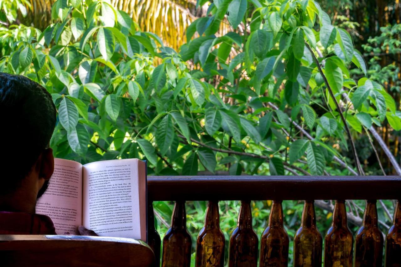 Palm Grove Eco Resort ميناء بلير المظهر الخارجي الصورة