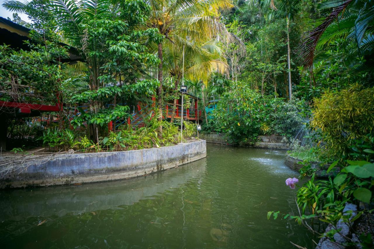 Palm Grove Eco Resort ميناء بلير المظهر الخارجي الصورة