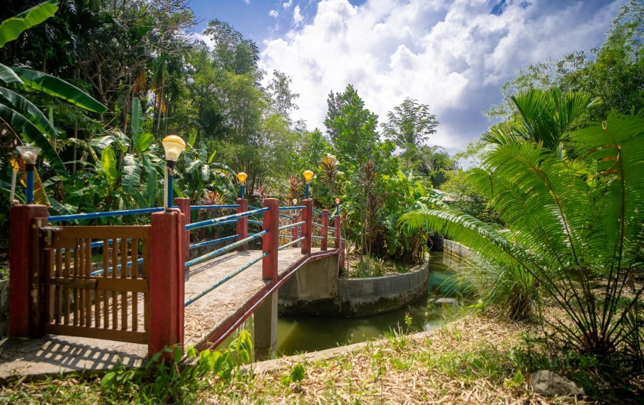 Palm Grove Eco Resort ميناء بلير المظهر الخارجي الصورة